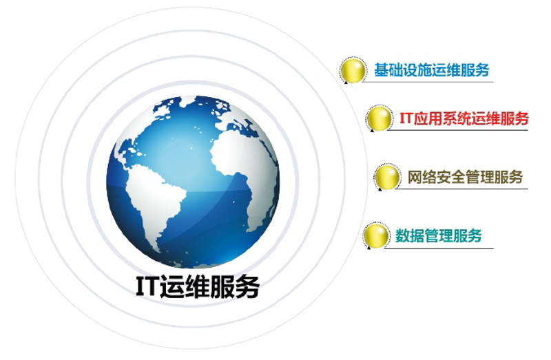 上海网络科技公司的创新与发展